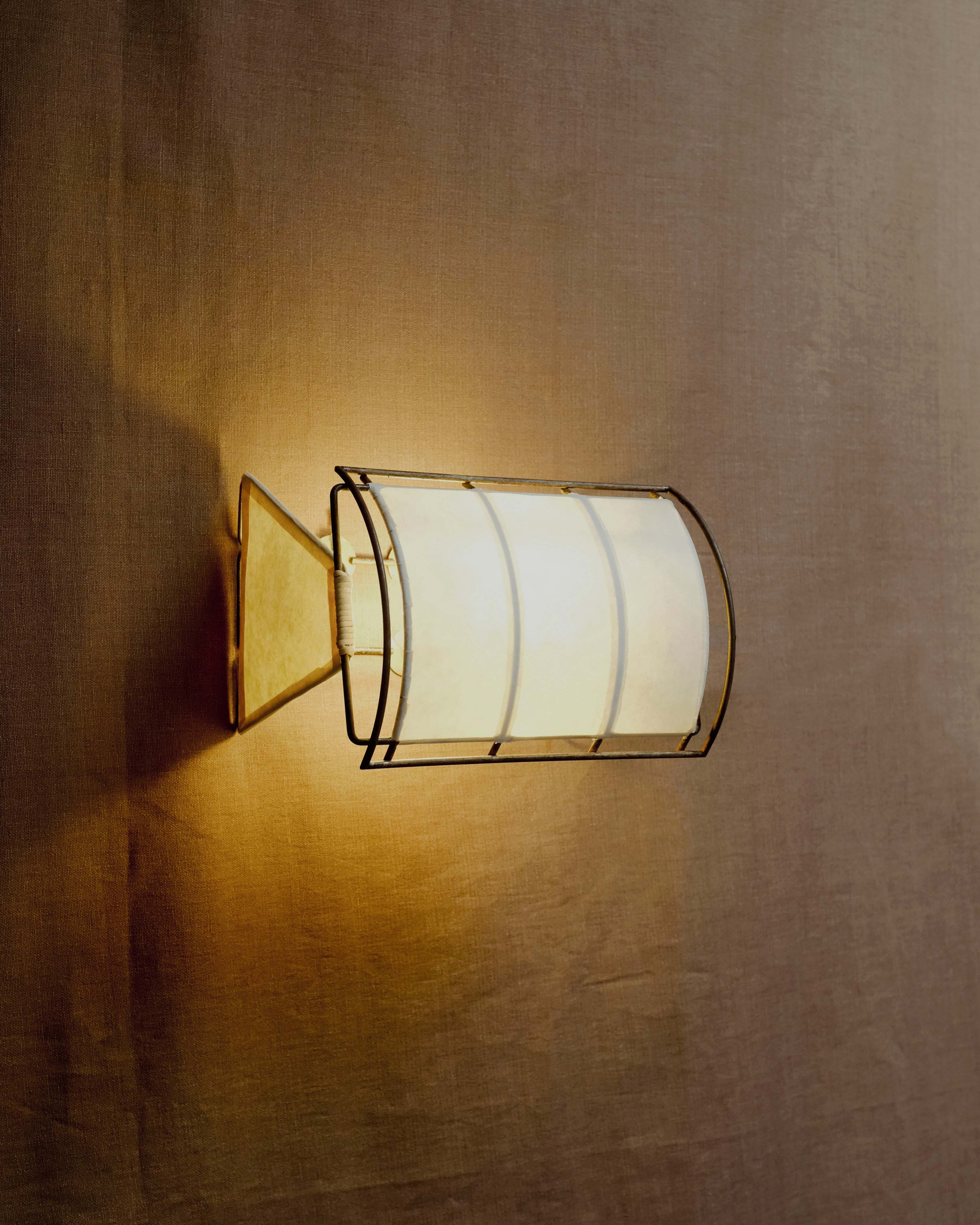 WING PICTURE SCONCE (lit version)